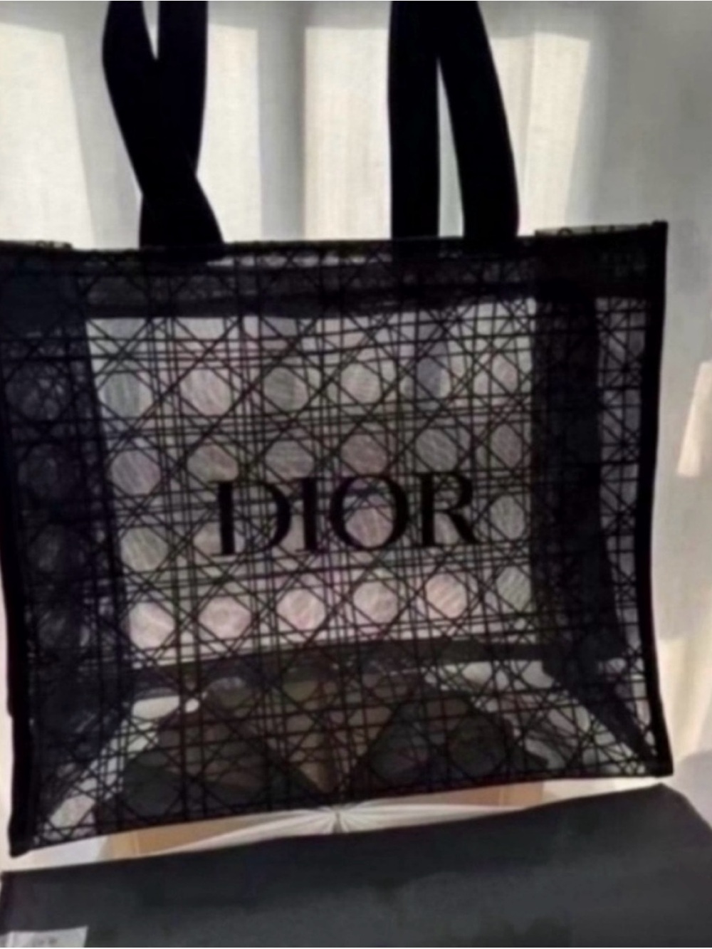 Dior Black Mesh Signature Tote